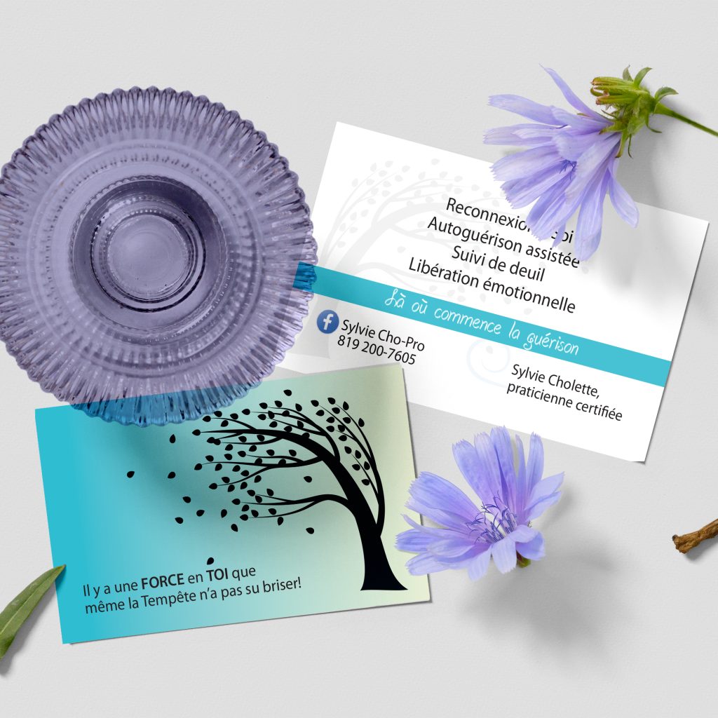 SYLVIE_CHOLETTE_Mockup copie